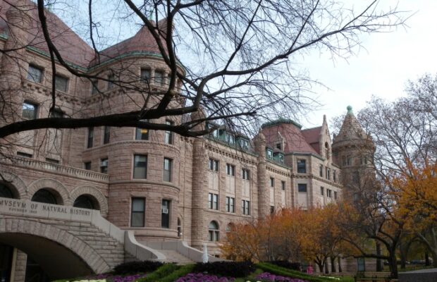 Natural History Museum New York, foto: pixabay