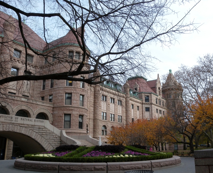 Natural History Museum New York, foto: pixabay