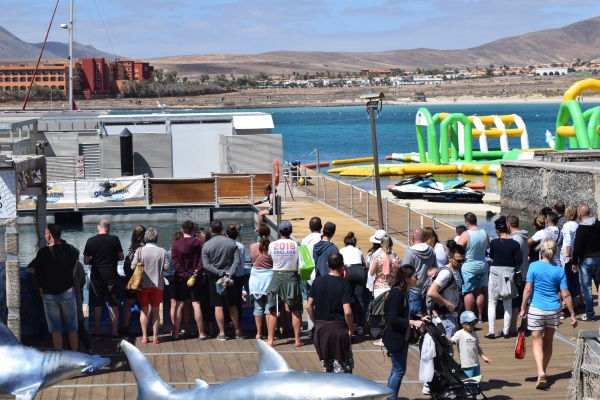 Fuerteventura Caleta de Fuste oceanarium tulene
